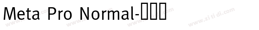 Meta Pro Normal字体转换